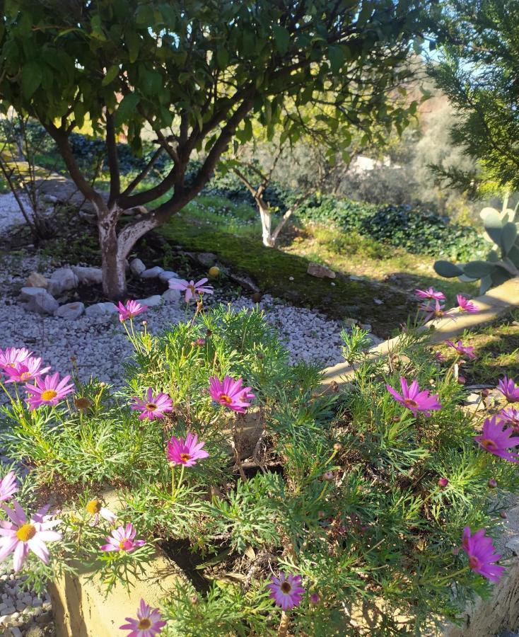 Onur Motel Faralya Fethiye Exterior foto